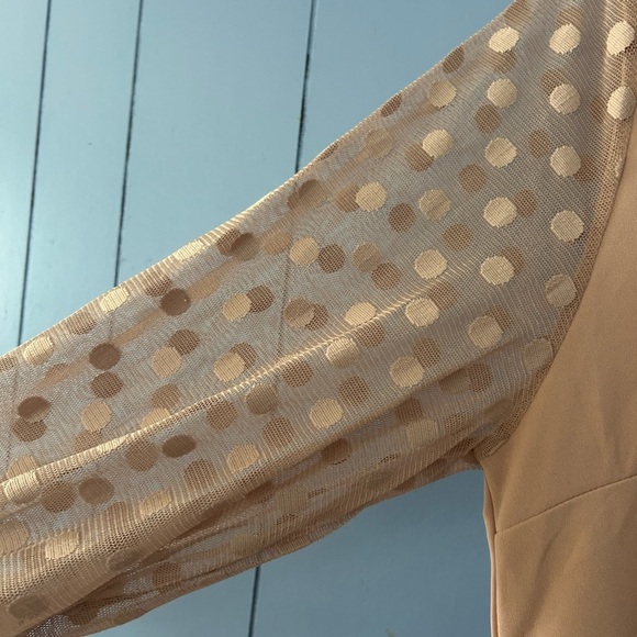 Women’s Pink Dress With See Through Polka Dot Sleeves - 2XL - Picture 3 of 4